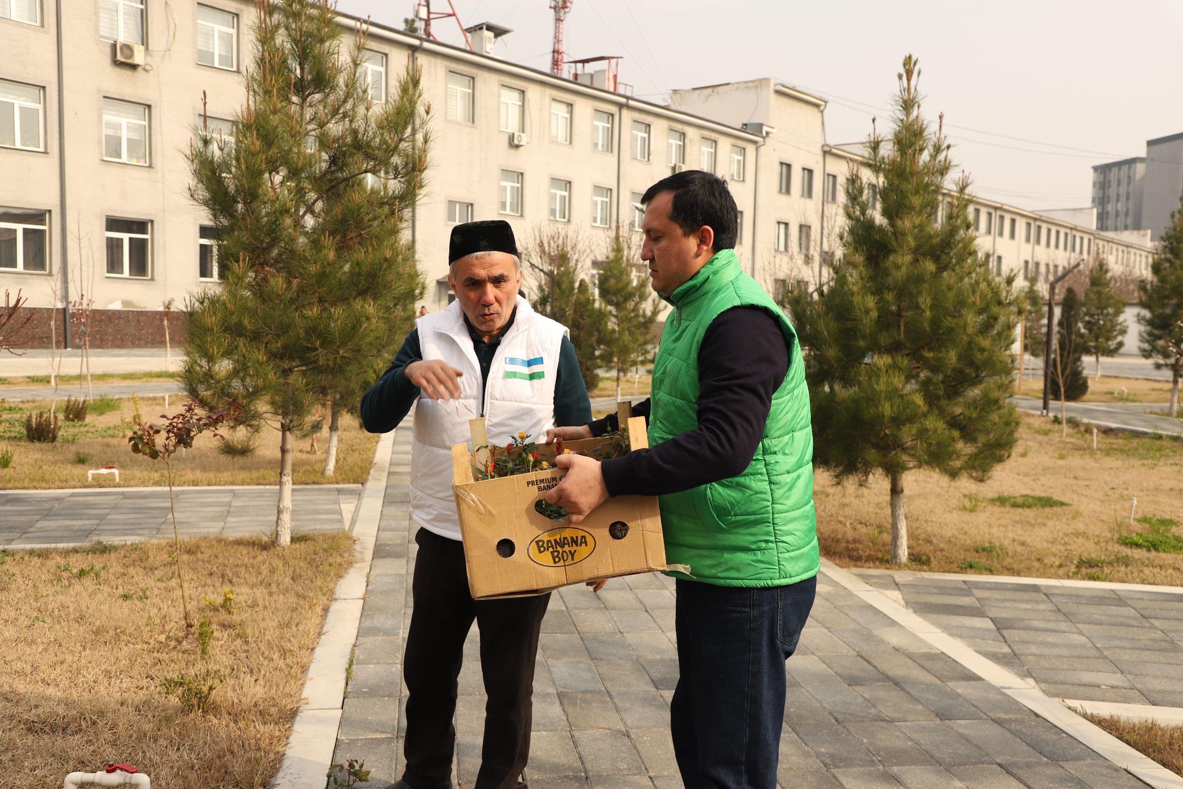 Muhammad Yusuf nomidagi ijod maktabida “Yashil makon umummilliy loyihasi doirasida “Yurt obodligi, avvalo, mahalladan boshlanadi!” shiori ostida xayriya hashari tashkil etildi.
